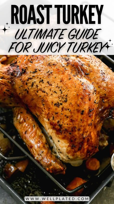 The BEST step-by-step instructions for How to Cook a Turkey! Enjoy a perfectly-seasoned, moist turkey with this simple recipe! Steps for both dry brine and wet brine. Turkey Cooking Instructions, Turkey Roaster Oven, Hawaiian Thanksgiving, Christmas Roast Turkey, Brine For Turkey, Turkey In Roaster Oven, Thanksgiving Appetizers Dips, Deep Fried Turkey Recipes, Roasted Turkey Recipe