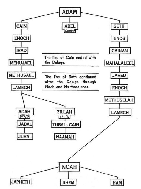 Bible Family Tree, Bible Genealogy, Bible Charts, Bible Timeline, Super Sunday, Bible Study Topics, Bible Study Help, Bible History, Bible Study Notebook