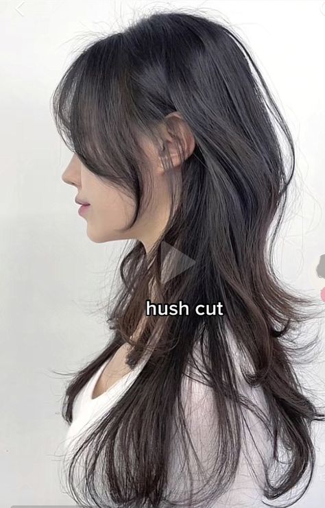 Aethstetic Haircuts, Long Korean Layered Hair, Hair Inspo Asian Medium, Wolfcut Hair Long Asian, Its So Loud Inside My Head, Korean Long Hair With Bangs Round Face, Aesthetic Haircuts Straight Hair, Straight Wolfcut Long, Felco Cut Long