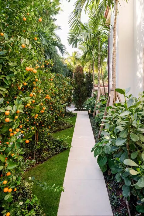 13 Walkway Ideas That Will Complement Your Home and Yard Side Walkway, Front Path, Traditional Porch, Concrete Walkway, Outdoor Walkway, Walkway Ideas, Perennial Grasses, One Story Homes, Solar Powered Lights