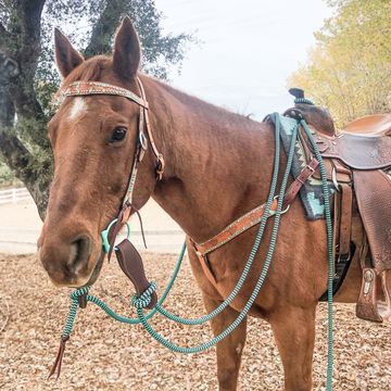 Tack Sets– Andrea Equine Sorrel Horse Tack Colors, Tack Sets Western, Western Horse Tack Turquoise, Horse Tack Western, Western Tack Sets, Barrel Racing Tack Rodeo, Western Horsemanship, Bling Horse Tack, Barrel Horses