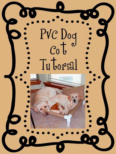 Diy Dog Gate, Pvc Pipe Ideas, Dog Cots, Pvc Projects, Drop Cloth Curtains, Pvc Pipes, Dog Shower, Dog Things, Dog Feeder