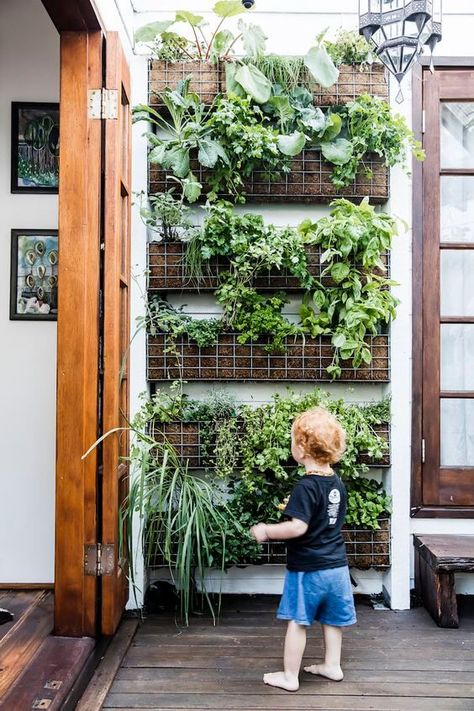 Vertical Herb Gardens, Herb Garden Wall, Small Herb Gardens, Vertical Garden Design, Vertical Vegetable Garden, نباتات منزلية, Vertical Garden Wall, Vertical Herb Garden, Walled Garden