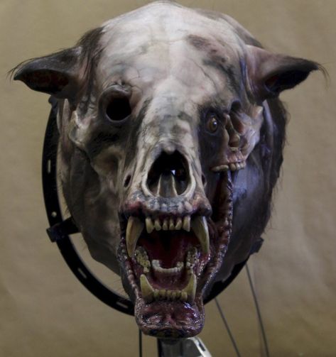 Want to See the Nightmarish Monster Bear from 'Annihilation' in All Its Glory? - Bloody Disgusting Creepy Monster, Horror Monsters, Scary Monsters, The Revenant, Creepy Art, Creature Concept, The Bear, Creature Design, Dexter