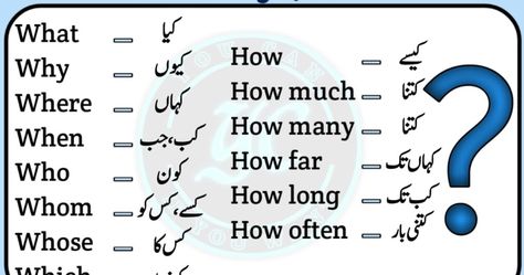 WH Family Words with Urdu meaning Wh Family Words With Meaning, Wh Family Words, Words Meaning In Urdu, Words With Meaning, Family Words, Words Meaning, English Transition Words, How Much Sugar, Basic English