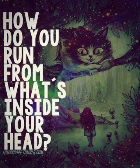 Alice And Wonderland Quotes, Wonderland Quotes, Were All Mad Here, Lewis Carroll, Cheshire Cat, Disney Quotes, Mad Hatter, Music Playlist, The Words