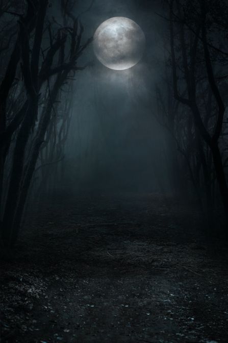 Creepy Dark Wallpaper, Gothic Background Landscape, Horror Background Aesthetic, Werewolf Aesthetic Dark, Haunted Forest Aesthetic, Haunted Background, Night Forest Wallpaper, Dark Forest Background, Horror Background