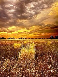 Copper Fields of #Wisconsin Image Nature, Cloudy Sky, Beautiful Sky, Beautiful Sunset, Beautiful Photography, Amazing Nature, Nature Beauty, Sunrise Sunset, Beautiful World