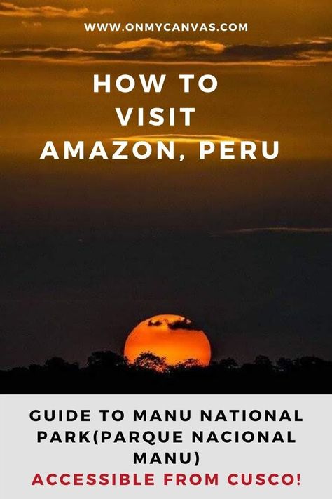 Manu National Park Peru, Amazon Wildlife, Peru Amazon, Latin America Travel, Animal Rescue Center, The Amazon Rainforest, Amazon River, Eating Eggs, Travel Tops