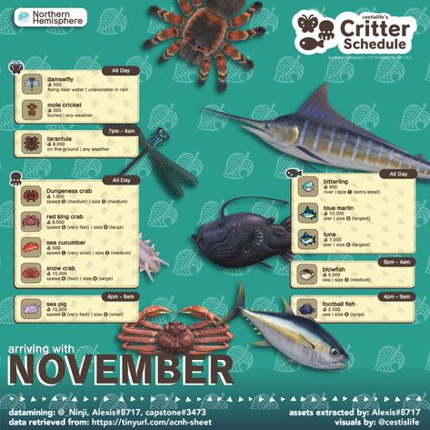 November Critters | cestislife's visual guides Acnh October Fish And Bugs, Animal Crossing Fish, Acnh Tips, Acnh Idea, Sea Pig, Mole Cricket, Nintendo Switch Animal Crossing, Animal Crossing Guide, Acnh Designs