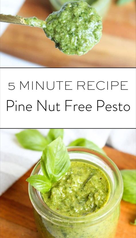 Try this pine nut free pesto recipe made with fresh basil leaves for a delicious homemade sauce. This easy nut free pesto sauce is perfect for those looking for a simple pesto sauce recipe. Learn how to make pesto without pine nuts with this homemade pesto without pine nuts recipe that’s quick and flavorful. Basil Pesto Without Pine Nuts Recipe, Basil Pesto Recipe Without Pine Nuts, Nut Free Pesto Recipe, Cortisol Recipes, Best Pesto Recipe, Reduce Insulin Resistance, Nut Free Pesto, Pesto Sauce Recipe, Homemade Pesto Recipe