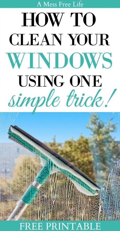 Windows Cleaning, Window Cleaning Tips, Streak Free Windows, Window Cleaning Solutions, Clean Hacks, Cleaning Windows, Homemade Toilet Cleaner, Cleaning Painted Walls, Washing Windows