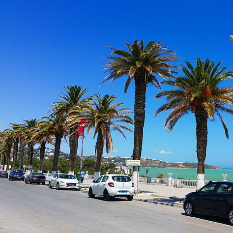 Tunisie côté mer - La Marsa, Tunis (photo Ahmed Ben Cheikh) Tunisia, Street View