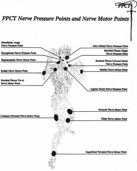 pressure-points Hypoglossal Nerve, Dim Mak, Survival Skills Emergency Preparedness, Median Nerve, Self Defense Martial Arts, Self Defense Techniques, Martial Arts Techniques, Hold Hands, Semper Fi