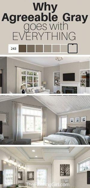 Agreeable Gray is the perfect greige paint and goes with everything.  Find out why.  @sherwinwilliams #agreeablegray #greige #gray #paint #color #homedecor #diy #livingroomideas Neutral Gray Paint, Perfect Greige, Greige Paint Colors, Greige Paint, Blue Gray Paint, Agreeable Gray, Popular Paint Colors, Gray Walls, Gray Paint