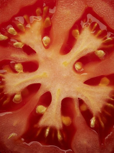 Natural Forms Gcse, Macro Food Photography, Shape Photography, Macro Photography Tips, Foto Macro, Vegetables Photography, Natural Form Art, Food Texture, Fruit Photography