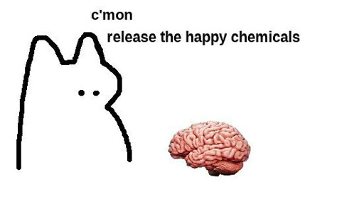 Cat Crumb, Happy Chemicals, Cat Doodles, Cat Brain, Goofy Drawing, Cat Drawings, Cat Doodle, Reaction Images, Little Doodles