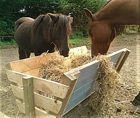 Diy Hay Feeder, Hay Feeder For Horses, Hay Box, Horse Feeder, Horse Pens, Horse Farm Ideas, Horse Paddock, Horse Hay, Diy Horse Barn