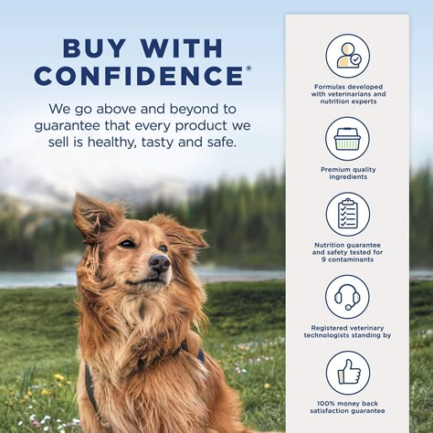 Natural Balance Limited Ingredient Diets Chicken andamp; Sweet Potato Formula Dry Dog Food * Want additional info? Click on the image.-It is an affiliate link to Amazon. Puppy Formula, Common Food Allergies, Grain Free Diet, Chicken And Brown Rice, Premium Dog Food, Balanced Nutrition, Chicken Sweet Potato, Natural Balance, Food Additives