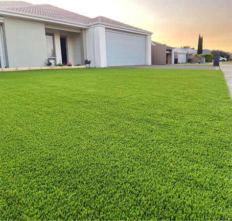 Are you in Perth and looking for residential artificial grass specialists near you? We can help.

For the past ten years, Australian Artificial Grass has been providing professional, reliable, and affordable artificial grass installation services to Perth homes. Zoysia Grass, Best Artificial Grass, Grass Installation, Artificial Grass Installation, Past Tens, Artificial Lawn, Hotel Motel, Artificial Turf, Artificial Grass