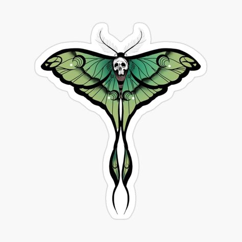 Chinese Moon Moth Tattoo, Moon Moth Tattoo, Moth With Skull, Chinese Moon Moth, Colourful Tattoo, Moon Moth, Moth Tattoo, Design Sticker, Tattoo Inspo