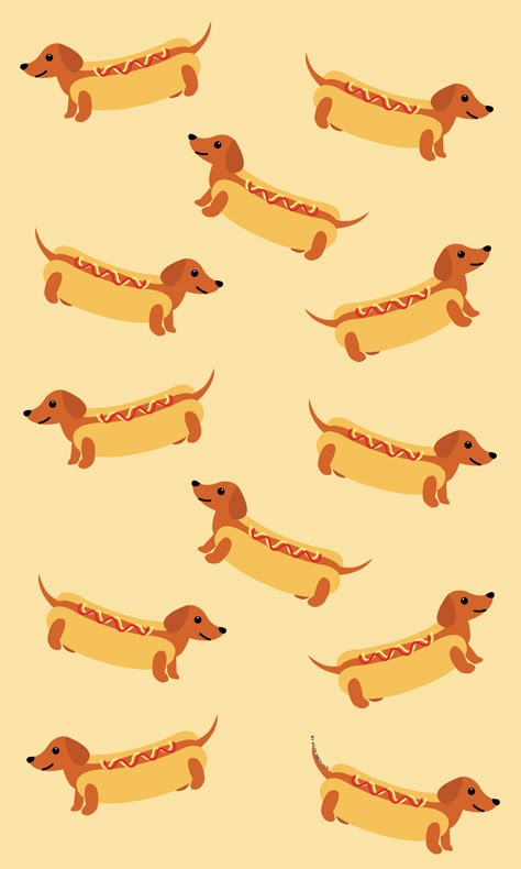 Cute Dog Iphone Wallpaper, Wiener Dog Wallpaper, Dashound Wallpaper Iphone, Daschund Wallpaper Iphone, Weenie Dogs Wallpaper, Dachshund Wallpaper Iphone, Dachshund Iphone Wallpaper, Daschund Wallpaper, Weenie Dog Wallpaper