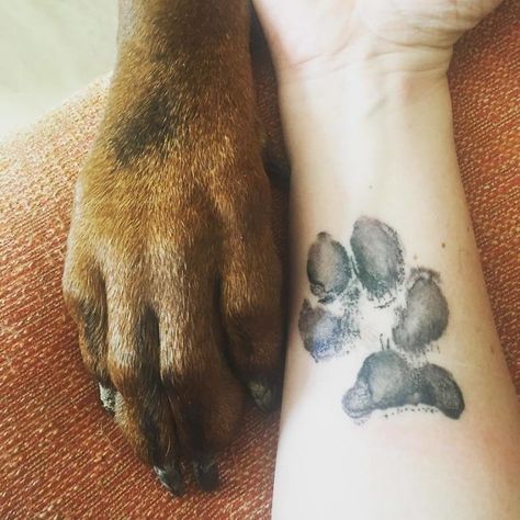 The Paws Of The Dogs Are Being Tattooed On Their Owners And The Result Is Adorable Dog Pawprint Tattoo, Pet Memorial Tattoo, Dog Print Tattoo, Dog Memorial Tattoos, Pawprint Tattoo, Dog Paw Tattoo, Paw Tattoo, Omerta Tattoo, Hand Tattoos For Women