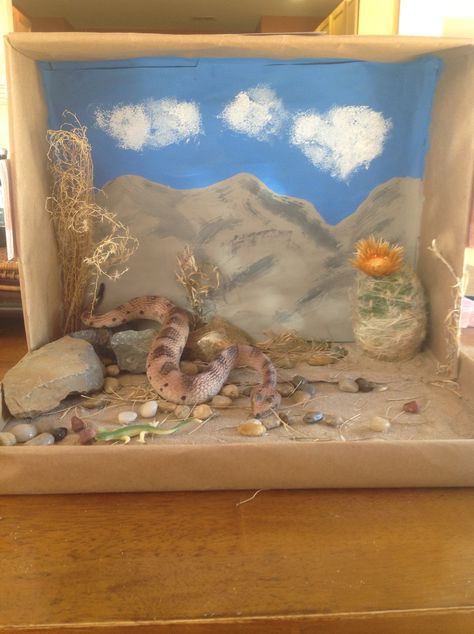 Snake Diorama, Biomes Project, Kids Deserts, Desert Diorama, Diorama Kids, Ecosystems Projects, Desert Biome, Habitats Projects, Diorama Ideas