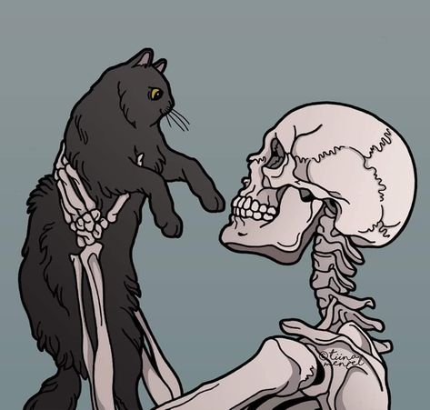 Leo Valdez, Skeleton Art, A Skeleton, Wow Art, Skull Art, Lovely Print, Dark Art, Cat Art, Aesthetic Art