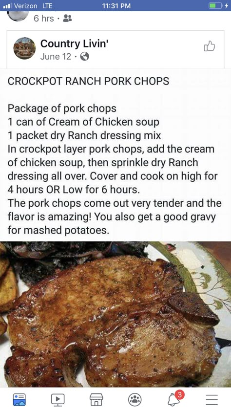 Crockpot Ranch Pork Chops, Mini Crockpot, Mini Crockpot Recipes, Ranch Pork Chops Crock Pot, Pork Crockpot Recipes, Pork Chop Recipes Crockpot, Ranch Pork Chops, Pork Chop Recipes Baked, Crockpot Pork