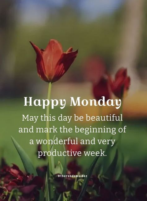 Happy New Week Mondays, Good Morning Monday Inspiration, Monday New Week Quotes, Happy Monday Morning Beautiful, Monday Quotes Motivational, Monday Greetings Good Morning, Happy Monday Quotes Motivation, Good Morning Happy Monday Quotes, Good Monday Morning Quotes