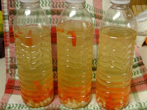 Chili Pepper Water Recipe, Hawaiian Chili Pepper Water, Chili Pepper Water, Hawaiian Chili, Ono Kine Recipes, Hawaiian Recipes, Homemade Hot Sauce, Hot Sauce Recipes, Hawaii Food