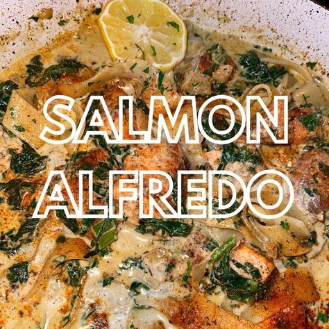 Salmon Alfredo, Salmon Meatballs, Salmon Recipes Oven, Salmon Pasta Recipes, Spinach Alfredo, Salmon Spinach, King Creole, Pasta Recipes Alfredo, Fettuccine Alfredo Recipes