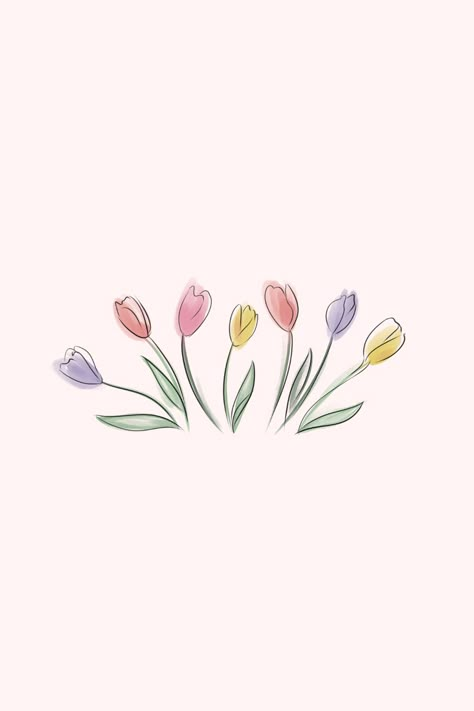 Spring Wallpaper Tulips, Tulip Field Drawing, Tulip Phone Wallpaper, Cute Tulips Wallpaper, Tulip Wallpaper Aesthetic, Aesthetic Tulips Wallpaper, Holland Tulip Fields, Spring Widgets, Tulip Sketch