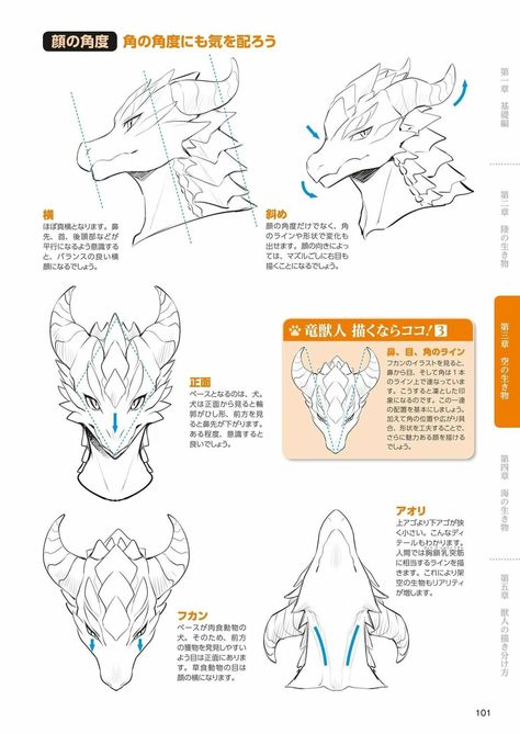 Dragonborn Dnd Drawing Base, Dragonborn Drawing Base, Dragon Head Reference Front View, Dragonborn Drawing Reference, How To Draw Dragonborn, Dragonborn Anatomy, Anthro Dragon Reference, Dragon Feet Reference, Dragonborn Sketch