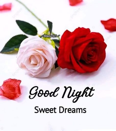 Gn Images, Beautiful Good Night Messages, Christmas Greetings Quotes, Good Night Friends Images, Good Night Dear, Good Morning Love Gif, Beautiful Good Night Quotes, Morning Wallpaper, Good Evening Greetings