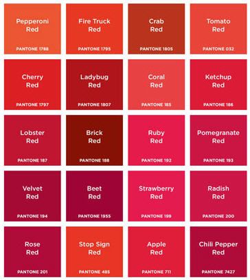 Red Shades   ♥it by Taip.Net Creative Concepts + Solutions Pantone Red, Pantone Color Chart, Different Shades Of Red, Red Shades, Red Pomegranate, Wear Red, Rug Direct, Color Psychology, Colour Board