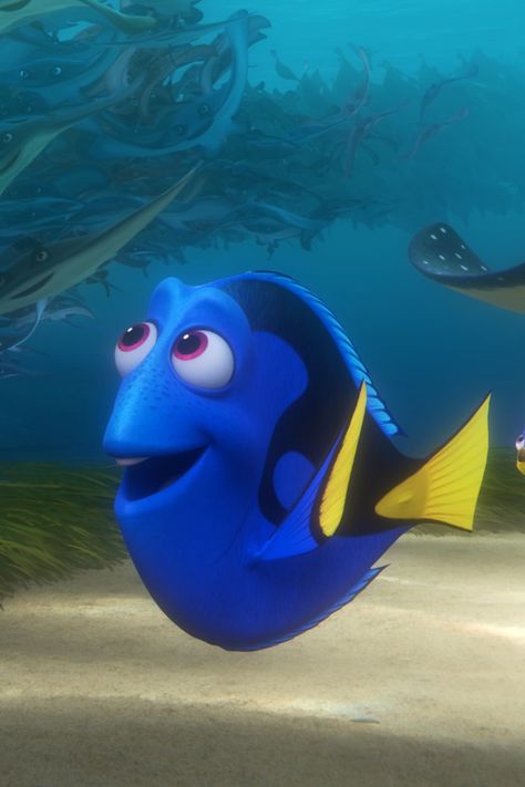 Finding Dory Movie, Finding Nemo Characters, Nemo And Dory, Disney Party Ideas, Jackson Storm, Disney Finding Dory, Blue Tang, Nemo Dory, Disney High