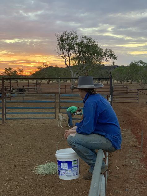 Aussie Outback Aesthetic, Jillaroo Australia, Farm Life Australia, Australian Cattle Station, Cattle Station Life, Cattle Station Australia, Outback Australia Aesthetic, Australian Outback Aesthetic, Australian Ranch