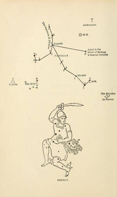 Perseus, from "Star lore of all ages; a collection of myths, legends, and facts concerning the constellations of the Northern Hemisphere," 1911.  https://archive.org/details/starloreofallage00olco Constellation Perseus, Felix Tattoo, Perseus Constellation, The Constellations, Star Constellations, Dark Academia, Astronomy, Constellations, Random Stuff