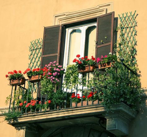 spanish balcony | photo via photo via French Balcony Ideas, French Balcony, Balcony Design Ideas, Porch Flowers, Backyard Garden Layout, Small Balcony Garden, House Balcony Design, Balcony Flowers, Balcony Plants