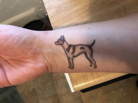 Rat terrier tattoo, Loki Rat Terrier Tattoo, Tattoos Rat, Dog Line Art Tattoo, Terrier Tattoo, Line Art Tattoo, Dog Line Art, Rat Terrier, Dog Line, Line Art Tattoos