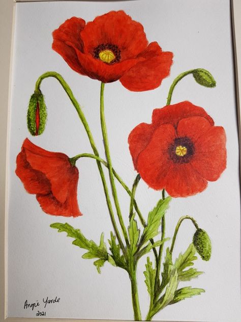 Poppy Bouquet Drawing, Painting Poppies Acrylic, Poppy Painting Acrylic, Flower Drawings With Color, Acrylic Poppy Painting, Poppies Illustration, Poppy Flower Drawing, Poppy Flower Painting, Remembrance Day Art