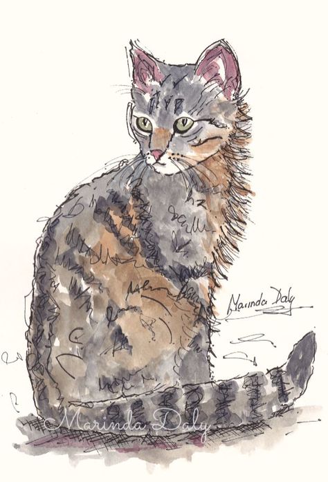 Feline Attitude. Line and wash sketch of a cat, by Marinda Daly. Sketched with black waterproof pen, and colored with Daler Rowney Artists' Water Color paints. Cat Sketch Watercolor, Pen Drawing With Watercolor, Watercolour And Pen Art Animals, Ink And Watercolour Painting, Watercolour Painting With Pen, Simple Line And Wash Watercolor Sketches, Cat Watercolour Painting, Watercolor And Pen Art Animals, Watercolor Art With Black Pen