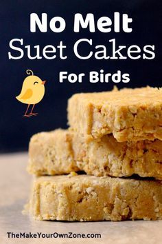 Bird Food Storage Ideas, No Melt Suet, Birdseed Cakes, Homemade Birdseed, Suet Recipe, Diy Cakes, Backyard Birds Sanctuary, Backyard Birds Feeders, Suet Bird Feeder