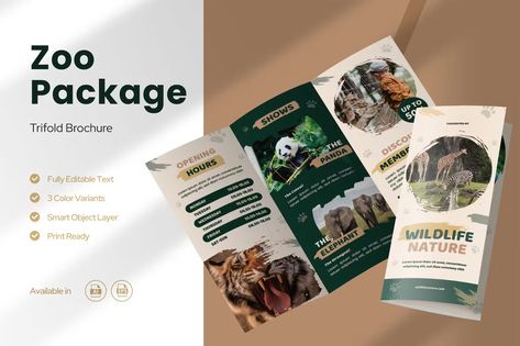 Zoo Package Brochure Template Get it now!! #brochure #brochuretemplate #brochuredesign #business #template #trifold #bifold #bestbrochure #freebrochure #premiumdesign #design #envato #envatomarket #envatoelement #creativemarket #freepik #shutterstock Zoo Brochure, Free Brochure, Trifold Brochure Template, Trifold Brochure, Brochure Design Template, Business Template, Print Templates, Brochure Design, Brochure Template