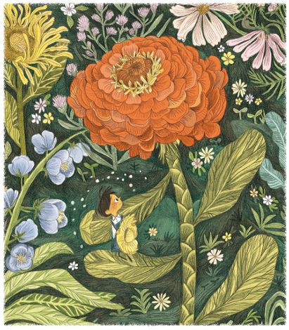 Emily Hughes, Nature Play, Childrens Illustrations, Children's Book Illustration, Healing Powers, Children Illustration, Book Illustration, Children’s Books, A Flower