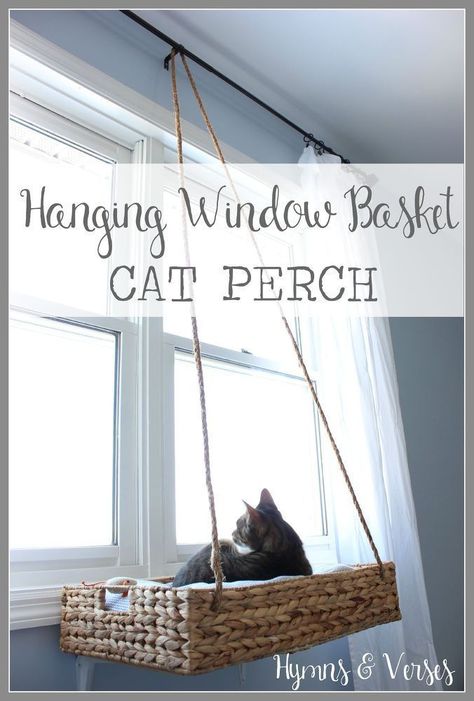 DIY Hanging Basket Cat Perch Window Baskets, Chat Diy, Kat Diy, New Year Diy, Diy Hanging Shelves, Cat Perch, Closet Organization Diy, Wine Bottle Diy Crafts, Mason Jar Crafts Diy