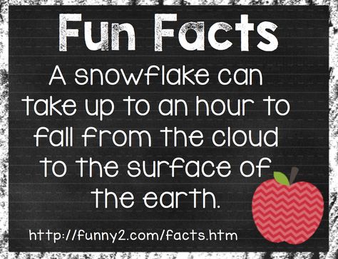 TheHappyTeacher: Fun Facts Website Snow Facts, Flamingo Facts, Weather Preschool, Kids Facts, Notes For Kids Lunches, Weird Nature, Friday Facts, Uplifting Quotes Positive, Lunchbox Jokes