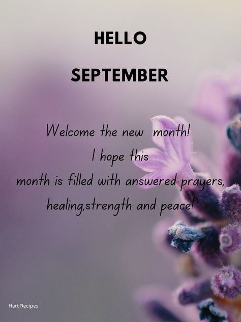 Quote to welcome the 1st of a new month New Month Quotes, Month Quotes, Hello September, September 1st, Answered Prayers, New Month, Positive Affirmations, Affirmations, Quotes